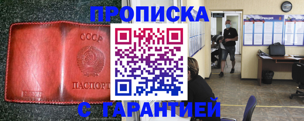 прописка гарантия в Арамили